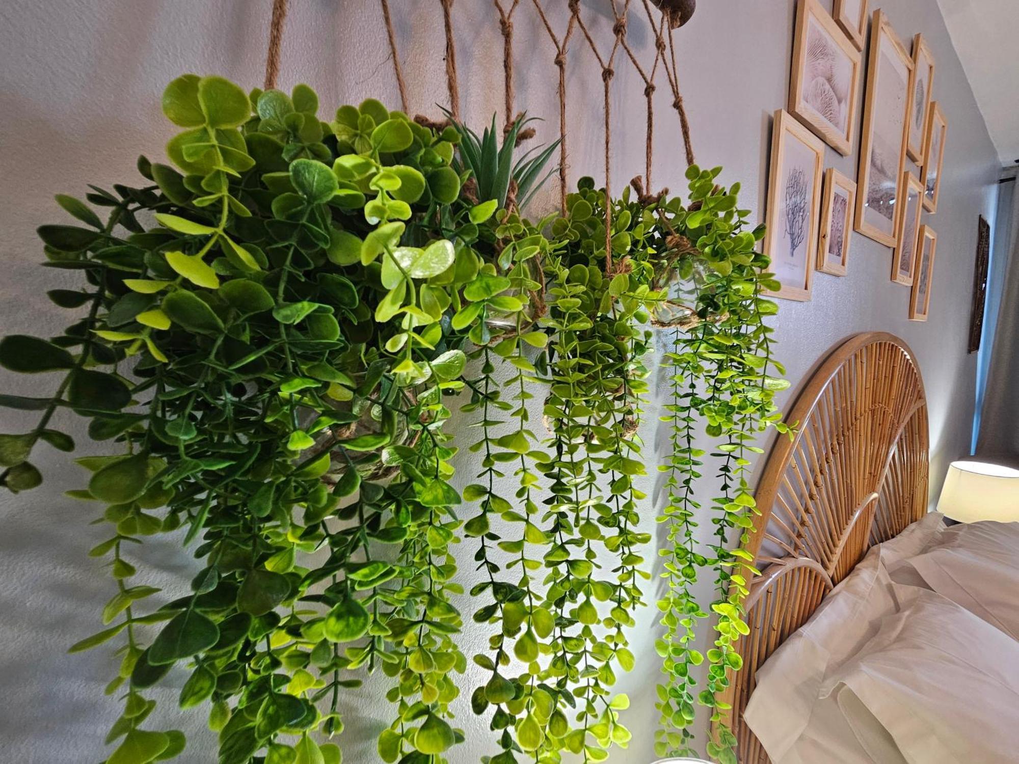 Brise Marine - Saint Gilles Les Bains - Boucan - Studio Vue Mer Ngoại thất bức ảnh